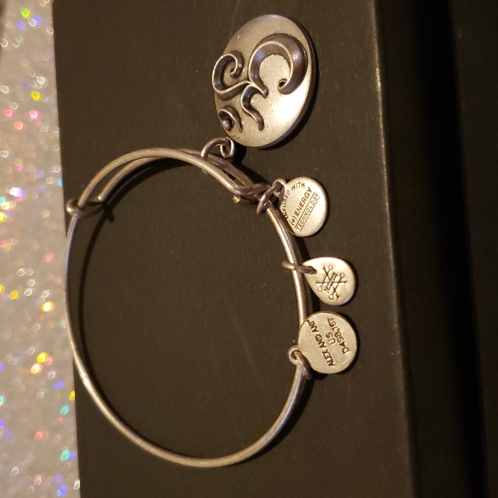 ❇️Alex & Ani OM III Expandable bracelet NWOTag - Picture 5 of 6